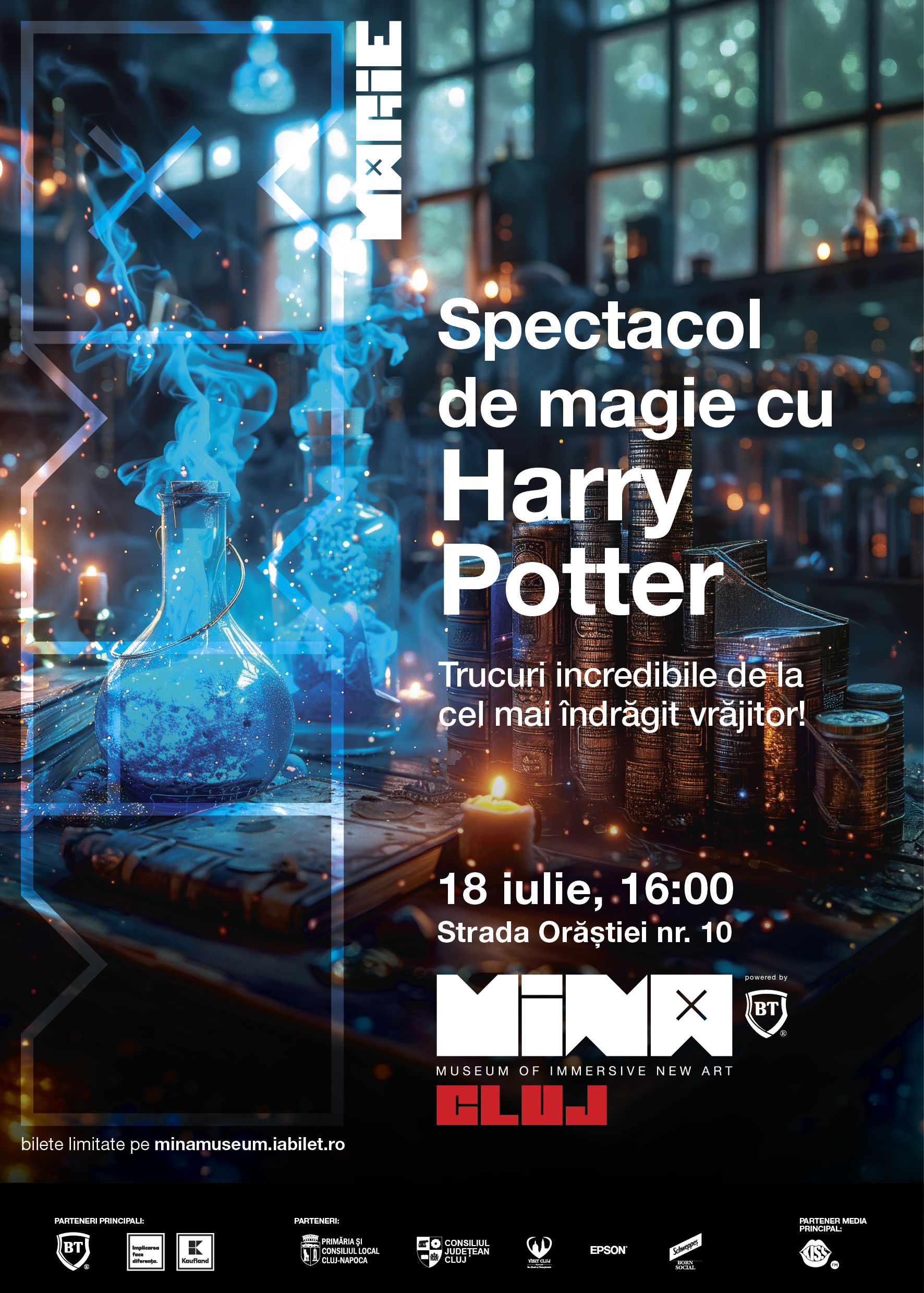 Spectacol de Magie cu Harry Potter